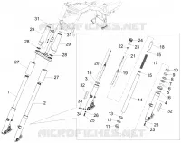 Forcella anteriore Sachs