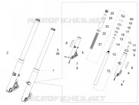 Forcella anteriore Kaifa